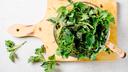 This 'Weed' Growing in Your Yard is More Powerful Than Spinach: Folk Medicine Uses It for Inflammation, Anemia, and Alle