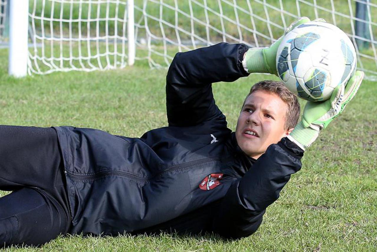 Karlo Žiger