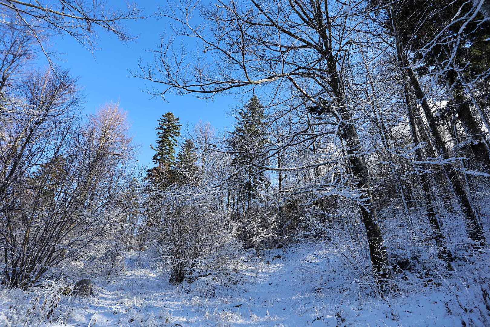 Tijekom ranih jutarnjih sati očekuje se pretežno oblačno vrijeme, a tijekom dana vedro i sunčano.