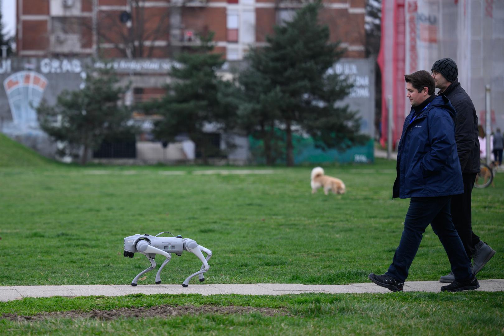 07.03.2024., Velika Gorica -  Milan Rajcevic, vlasnik i direktor tvrtke Notum Robotics sa suradnikom Ivanom Batinicem prosetao je Parkom dr. Franje Tudjmana u velikoj Gorici u drustvu robota psa. Za robota su podjednako bili zainteresirani prolaznici i njihovi ljubimci psi. Robot pas je komercijalni proizvod koji se radi po narudjbi, a ono sto je kod njega interesantno i unikatno su softverska rijesenja. Poanta je da ta platforma bude autonomna, bez ljudske intervencije i sa minimalnim odrzavanjem izvrsava zadatke prema svojem programu, da se snalazi u nepoznatim okolnostima, po nepoznatom terenu. Primjene su neogranicene, od sigurnosnih primjena, sluzbe spasavanja, nadzora te interakcije i edukacije. Puni se do 24 sata zbog tehnologije baterije i moze raditi do 3 sata, a trcati moze brzinom do 20 km/h. Trenutno nije vodootporan ali s vremenom moze postati i vodootporan i vatrootporan za siri spektar primjena.
 Photo: Davor Puklavec/PIXSELL