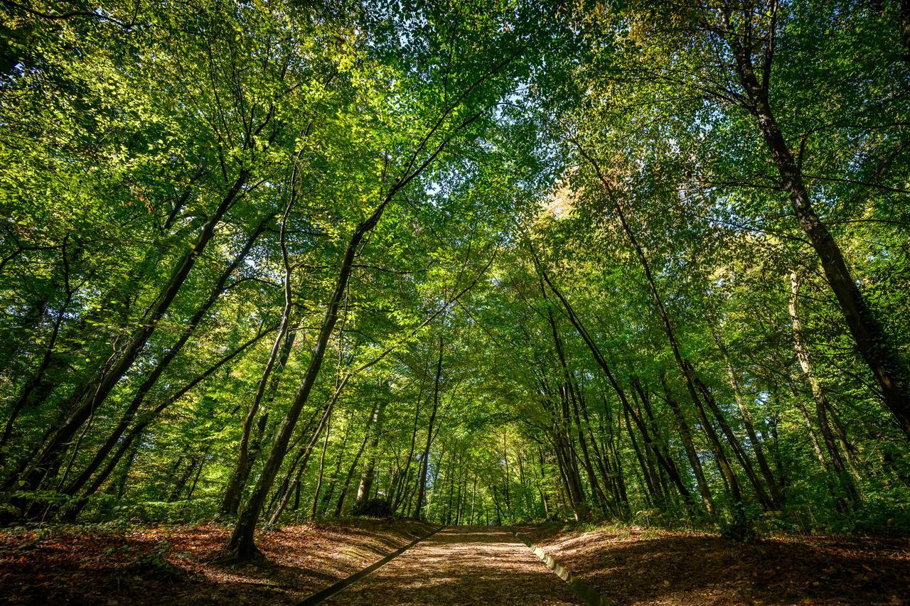 Zagreb: Biljni i životinjski svijet u parku Maksimir