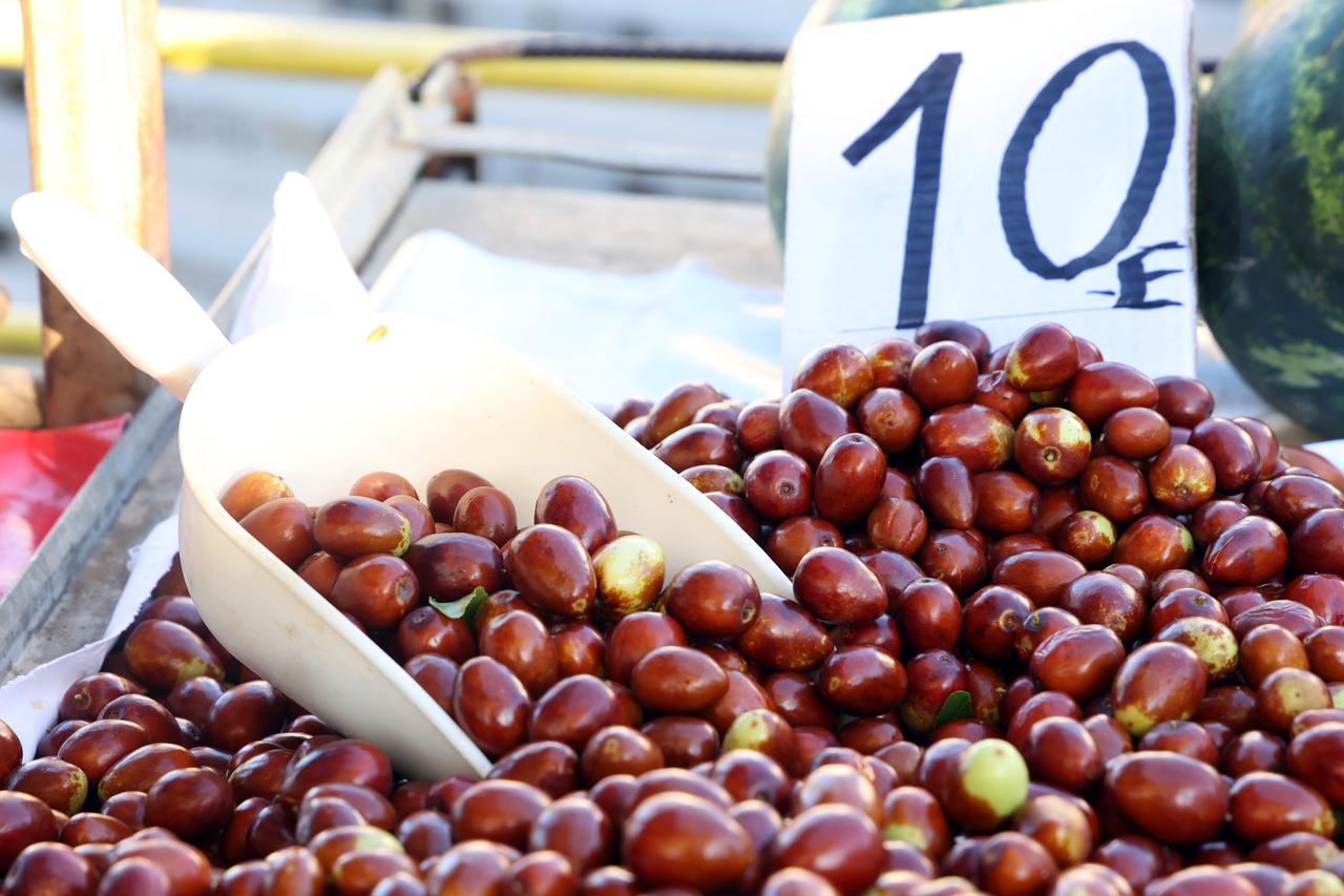 Tenja: Policija i forenzičari u kući žene za koju se sumnja da je ubijena i bačena u septičku jamu