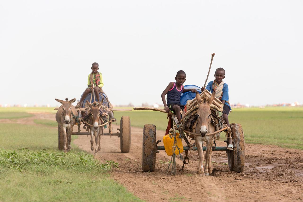 Etiopija,  država u istočnoj Africi