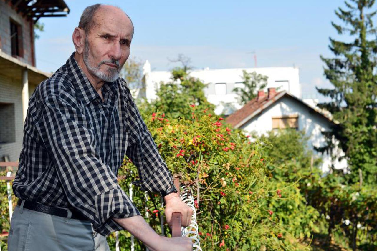 Nikola Štedul, portal (1)