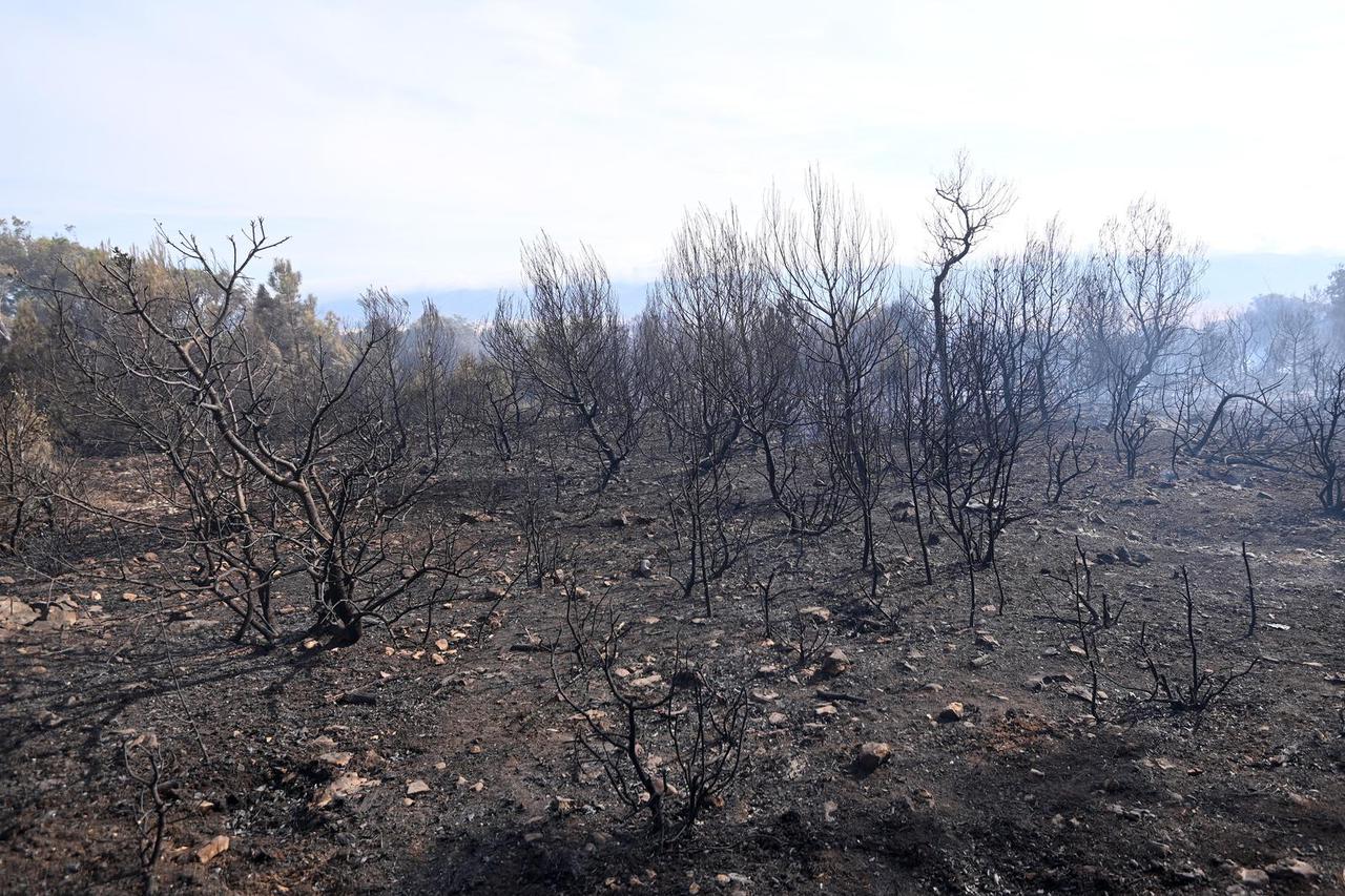 Posljedice velikog požara koji je noćas opustošio Zrće