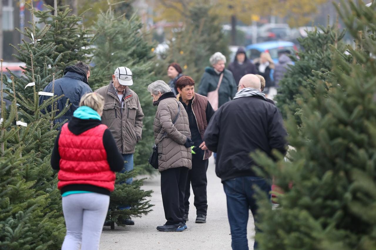 Rasadnik Marija Beraneka u Svetoj Klari