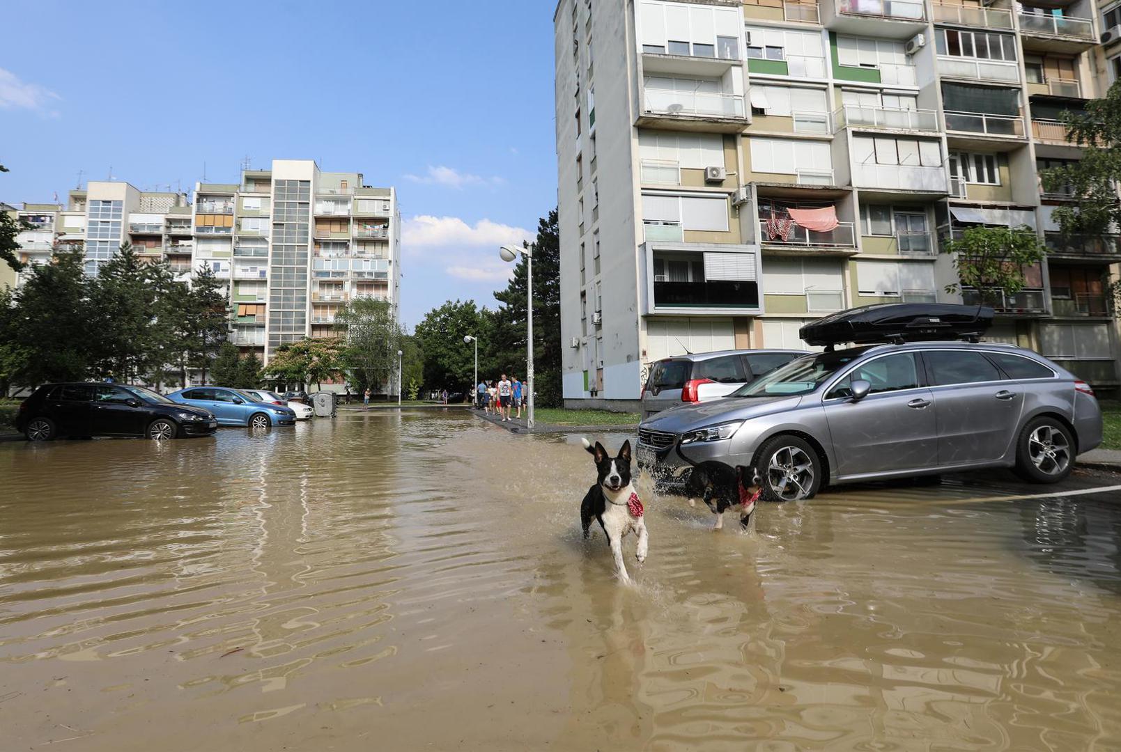 28.06.2022., Zagreb - U zagrebackom naselju Gajnice, u Cileanskoj ulici doslo je do puknuca vodovodne cijevi koja je poplavila veci dio parkiralista, a voda koja izvire prosirila se i okolnim ulicama. Photo: Robert Anic/PIXSELL