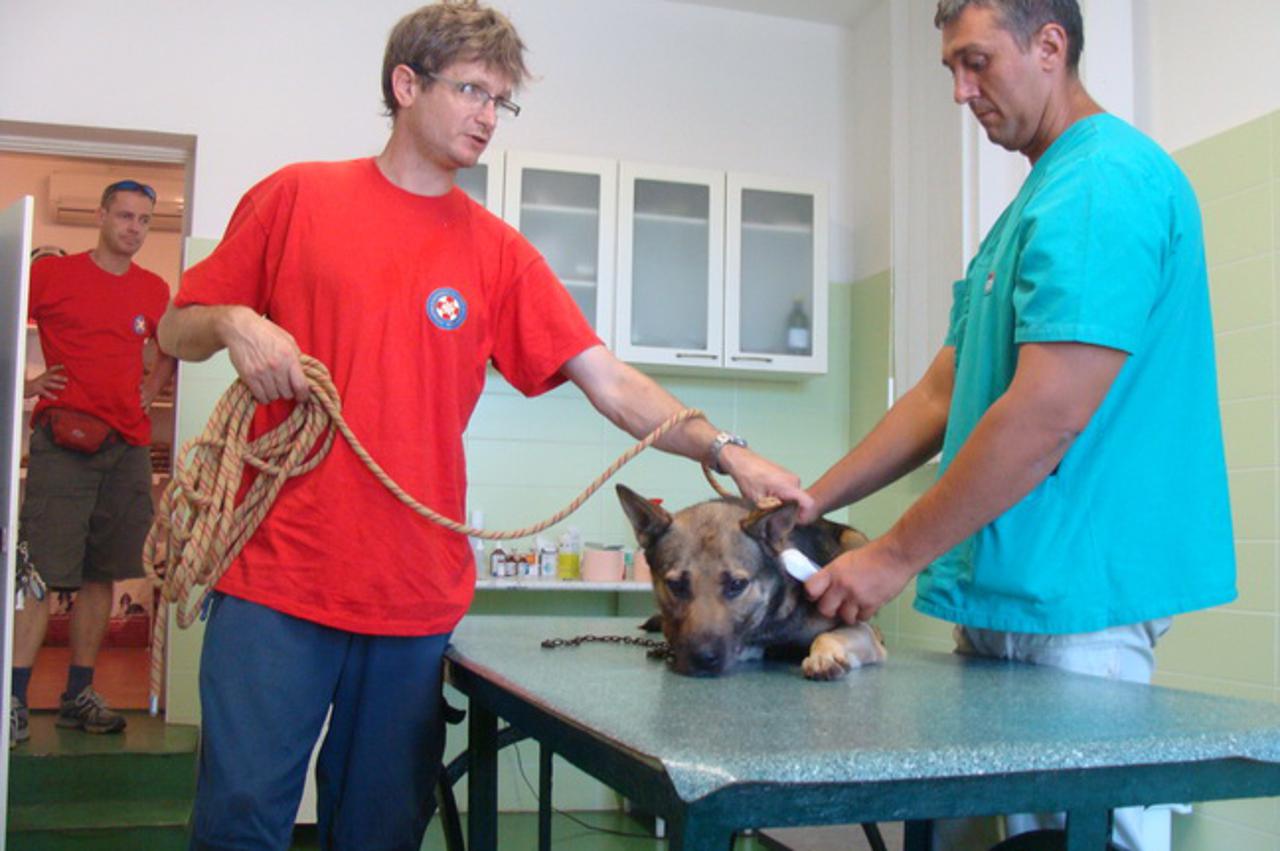 gss, spasavanje psa u obrovcu3