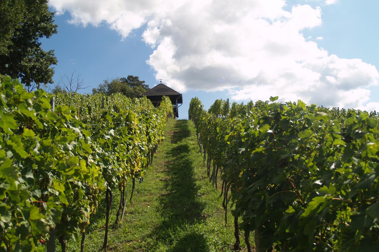 Vinarija Kutjevo