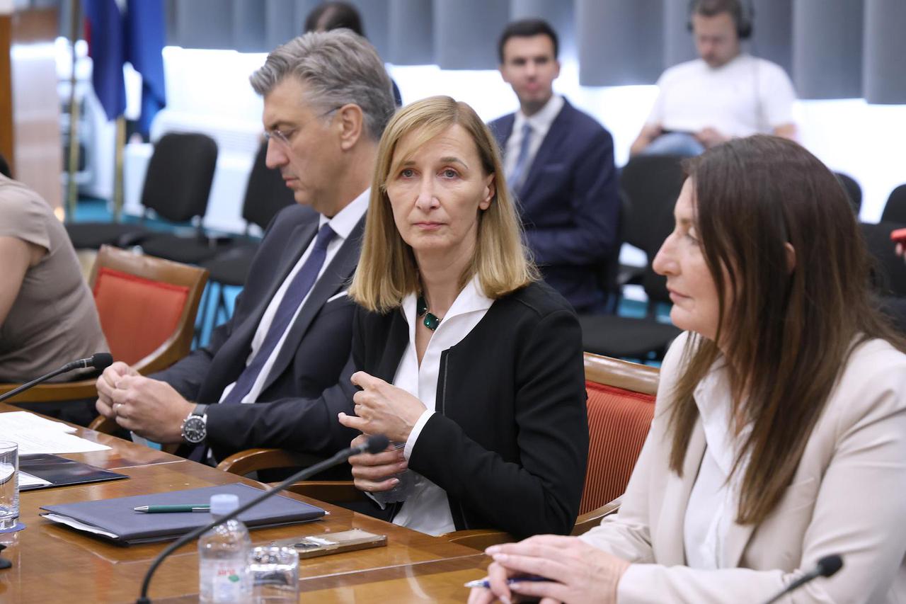 Zagreb: Buduća ministrica Nataša Mikuš Zigman pred Odborom za regionalni razvoj i fondove Europske unije