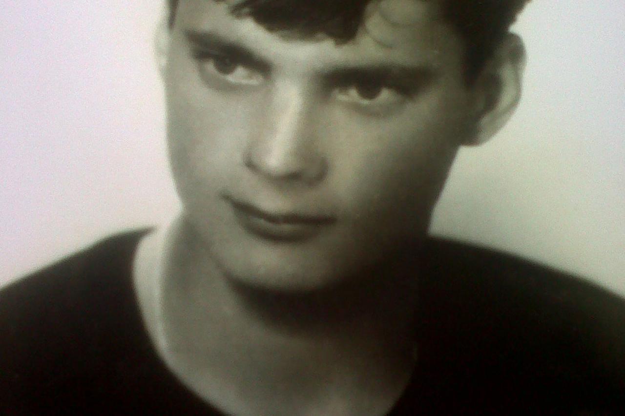 hegedić