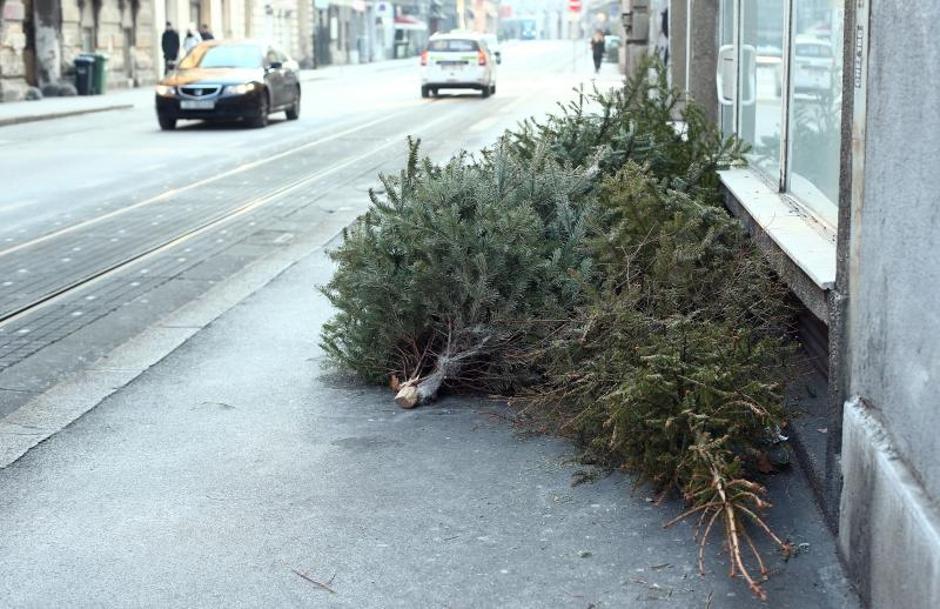 Zagreb: Odbačene božićne jelke na nogostupima stvaraju probleme pješacima
