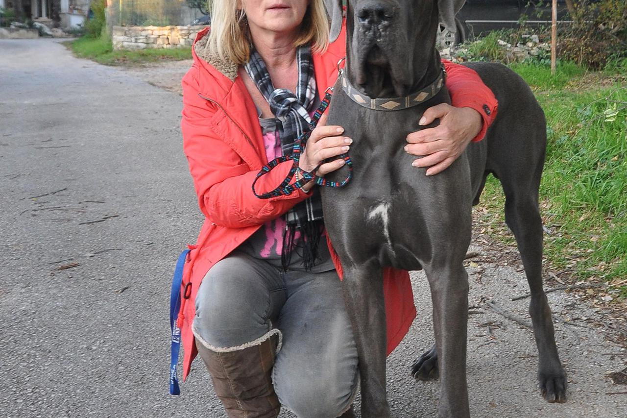 alfredo dajana milinković