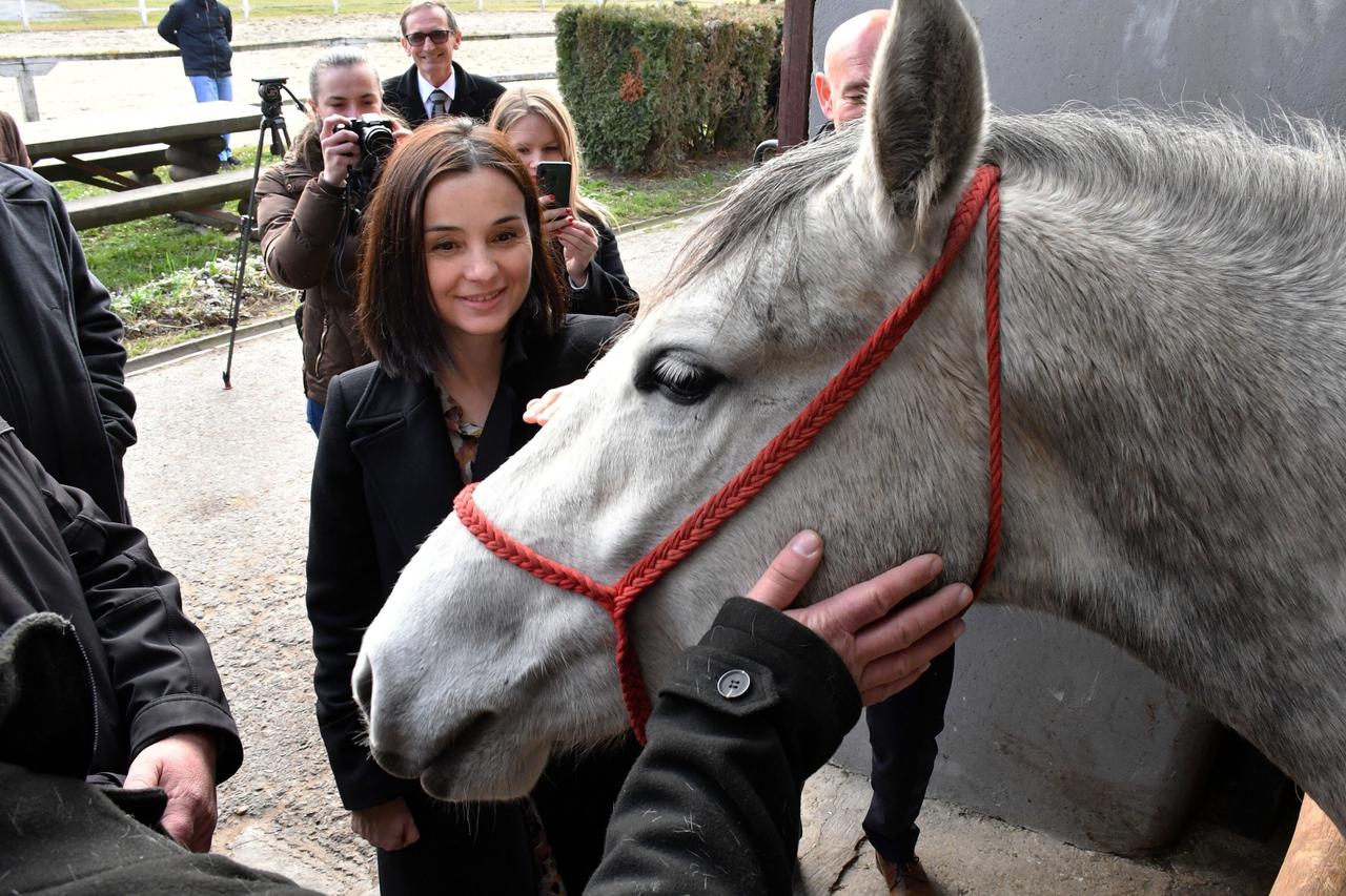 Ministrica poljoprivrede Marija Vučković posjetila Državnu ergelu lipicanaca Lipik