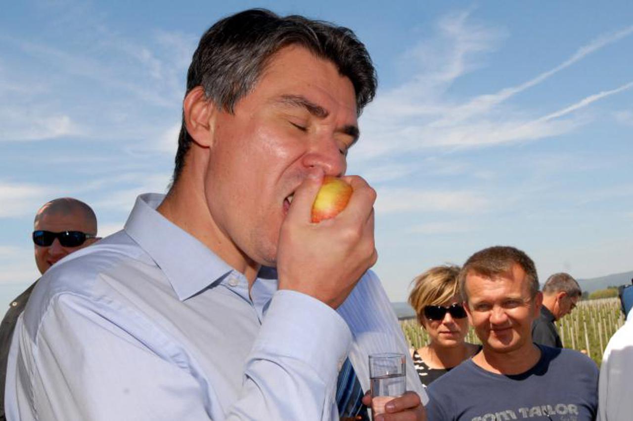 zoran milanović