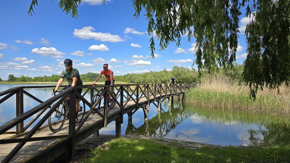 Slavonija i Baranja