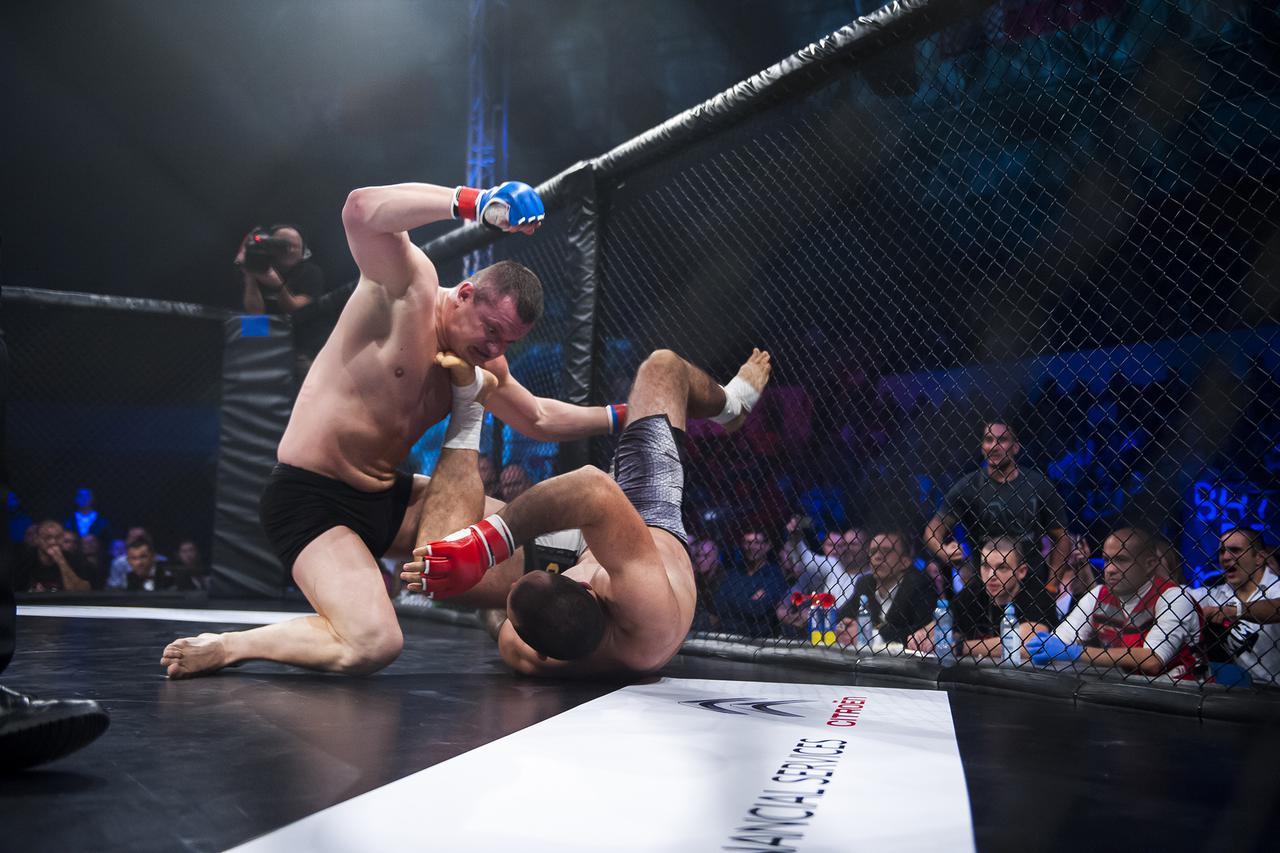 MMA liga