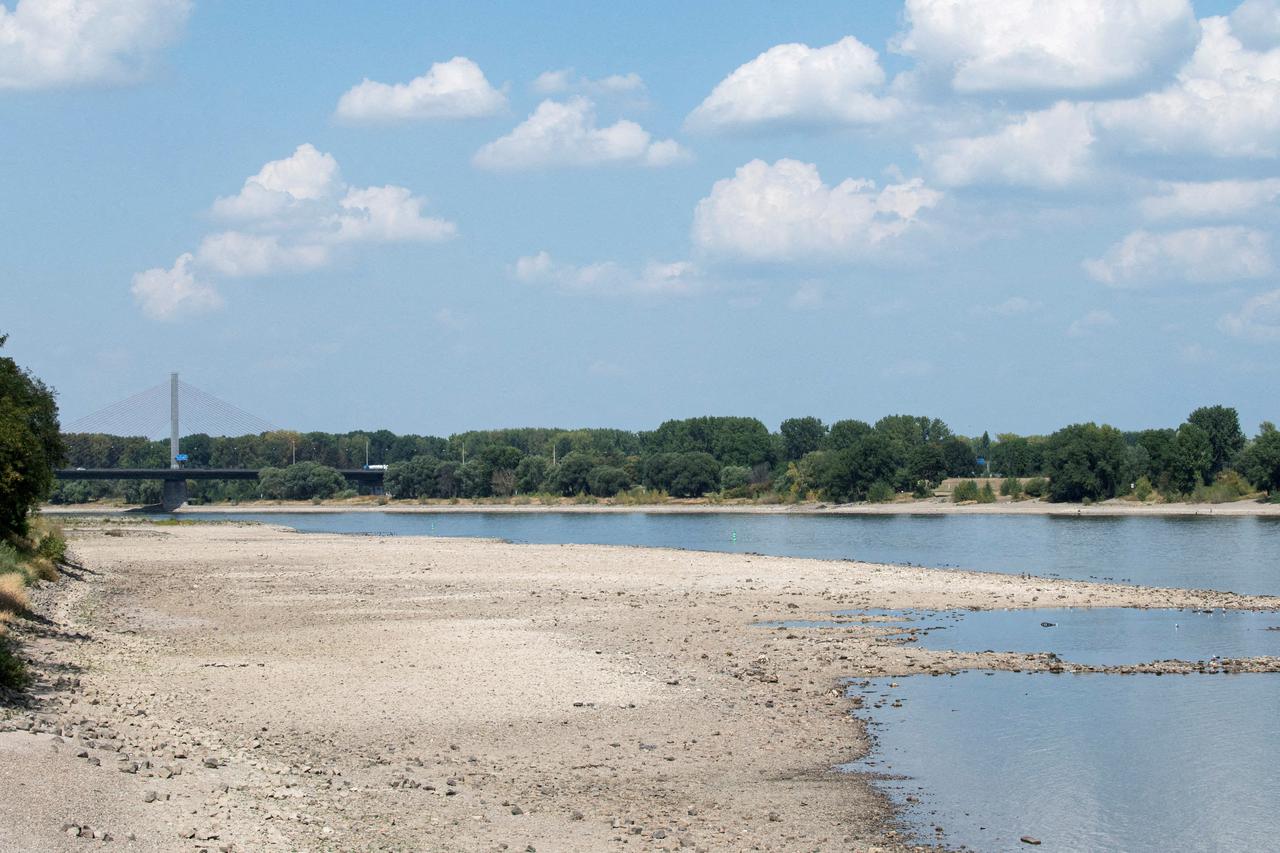FILE PHOTO: FILE PHOTO: Drought means low water levels in Rhine