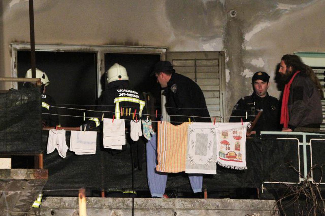 U požaru izgorjelo 18 štenaca (1)