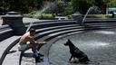 Bizarre decision by mayor amid scorching heat enrages citizens: Social media ablaze