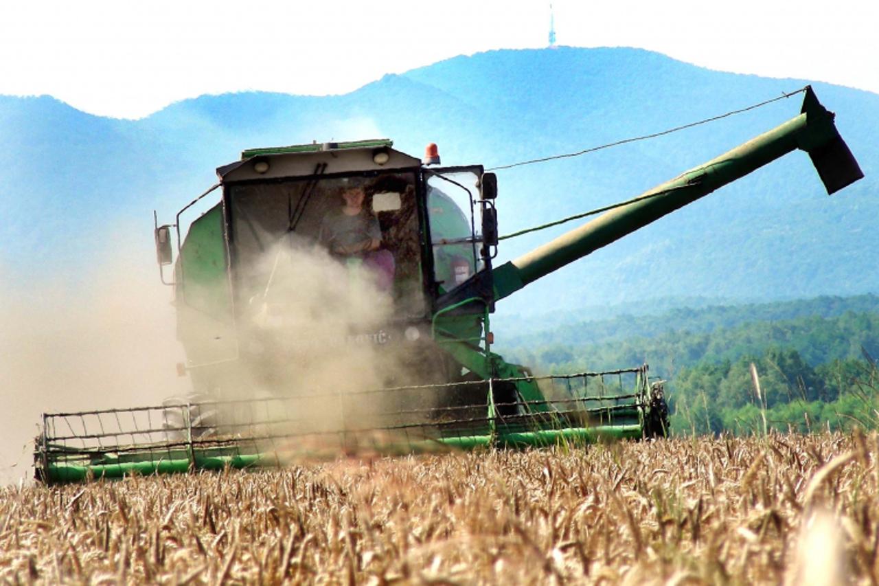 'za h skabeka - pod - 200607- orahovica - zetva psenica pod papukom snimio.dragutin santosi'