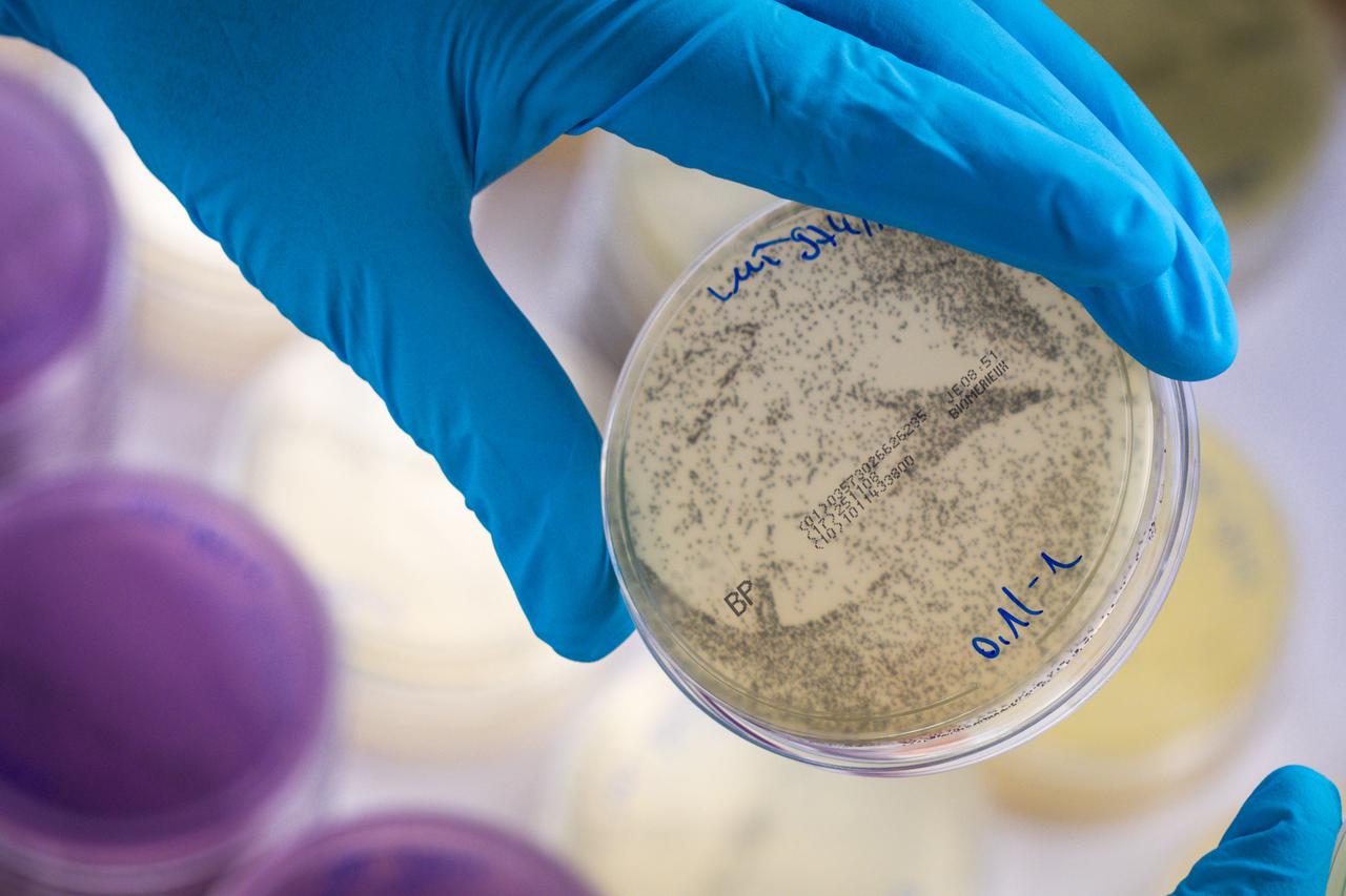 Food testing in the state laboratory