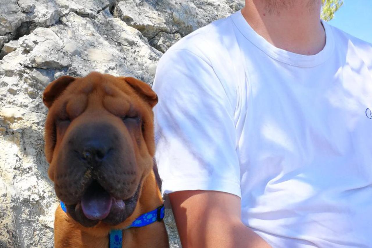 napadnuti pas i vlasnik