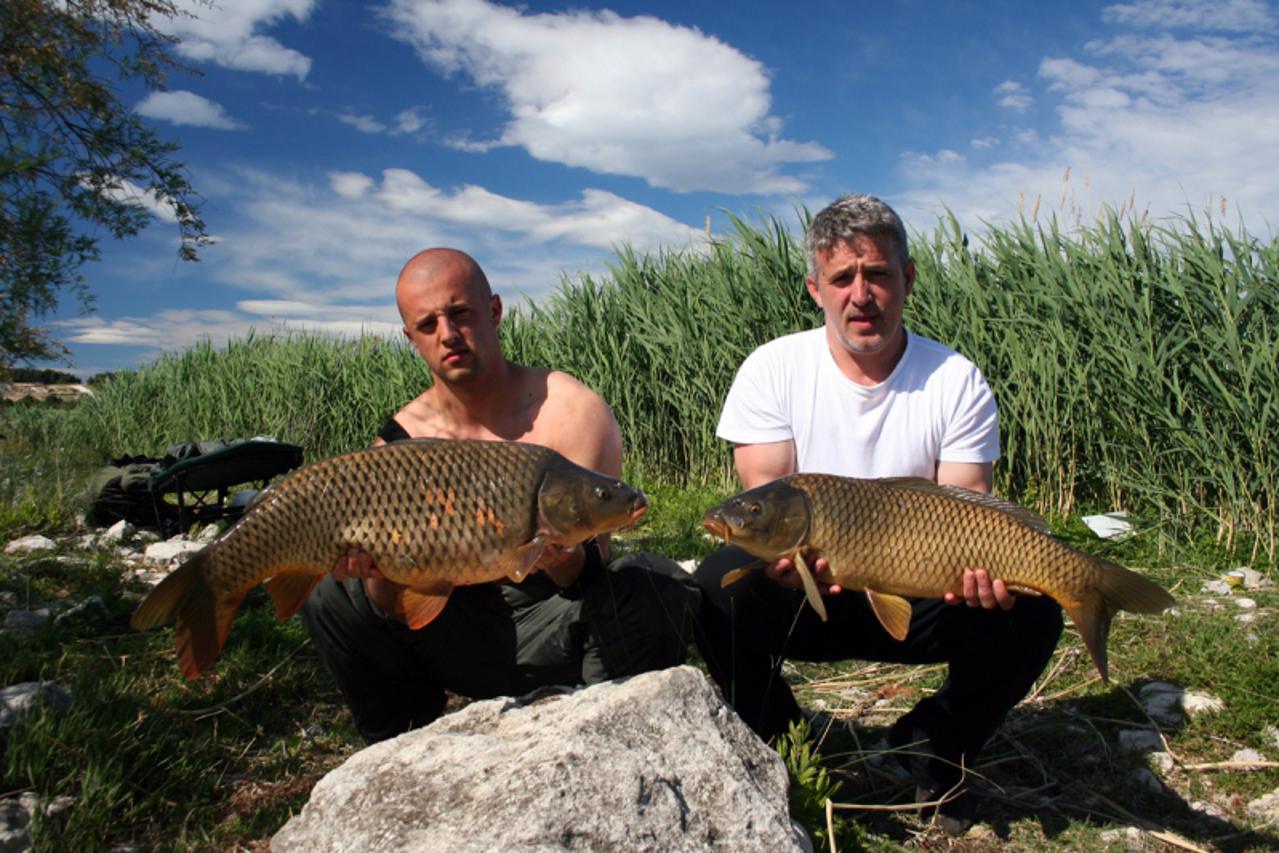 'saran1_frs_dal_210510'