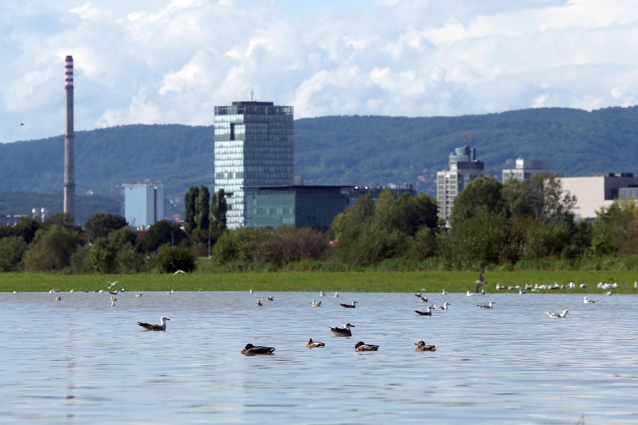 Zagreb - Sava