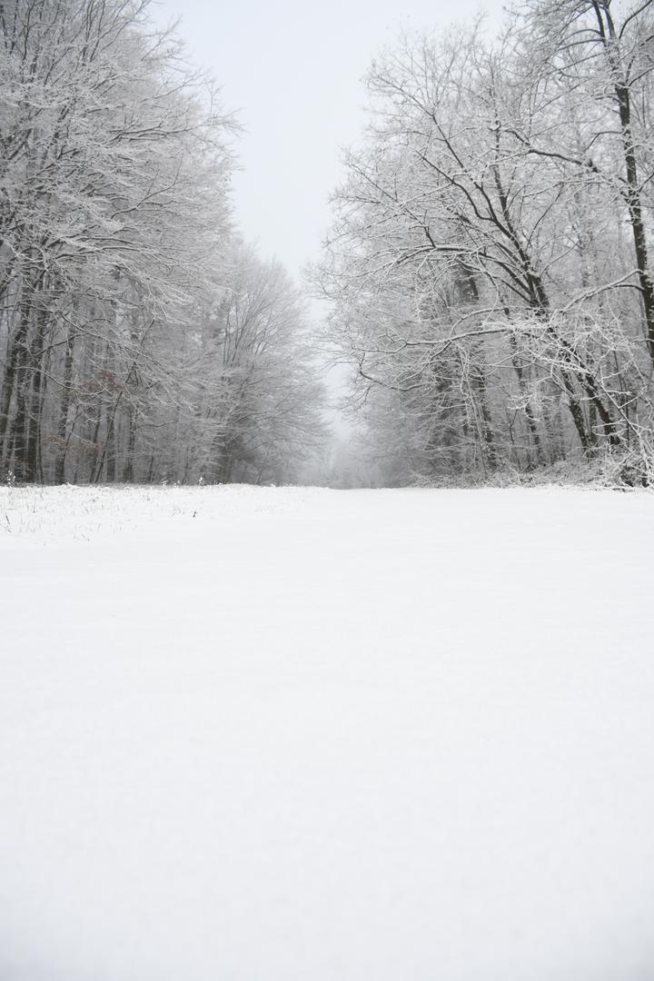  Iako se u Bjelovaru bilježi tek jedan centimetar snijega, u obližnjoj Bilogori čini se kako je snijeg ipak nešto viši. 
