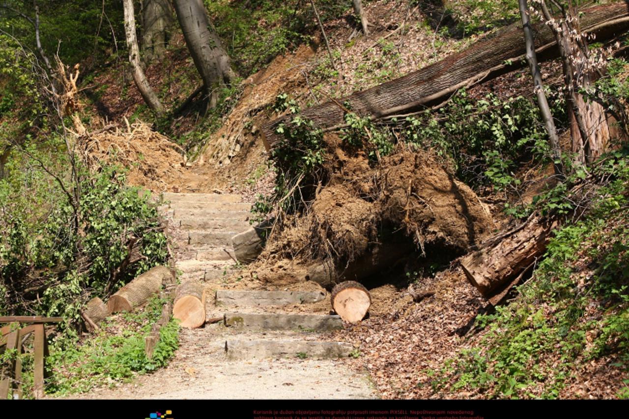'08.04.2010., Zagreb - Hrvatska, U dijelu park sume Cmrok, Dubravkin put ispod kamenih stepenica na pjesacku stazu su se srusila cetiri stabla hrasta i jedna bukva iz dijela sume koji je u privatnom v