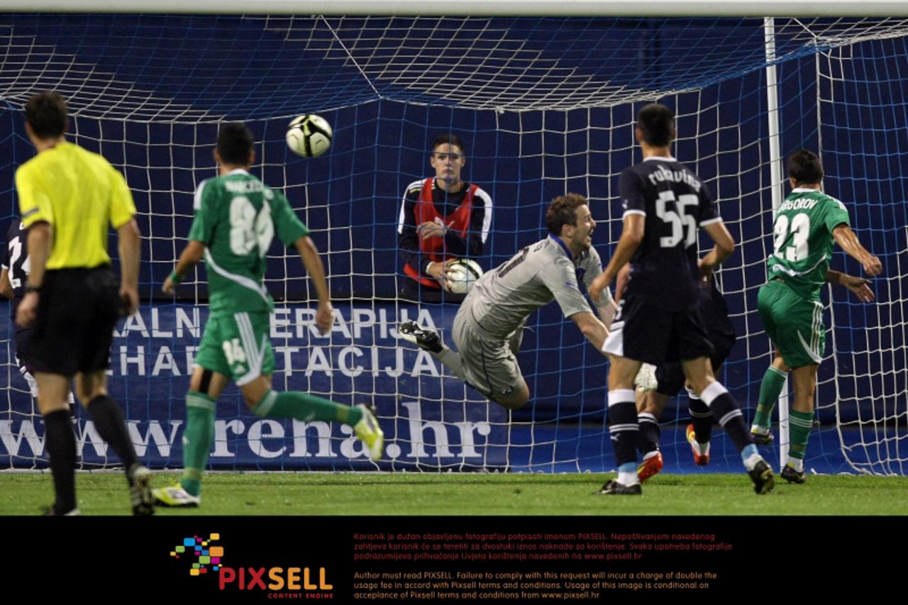 '25.07.2012., Stadion Maksimir, Zagreb - Uzvratna utakmica 2. pretkola Lige prvaka, GNK Dinamo - PFC Ludogorec Razgrad. Ivan Kelava primio gol.Photo: Marko Prpic/PIXSELL'