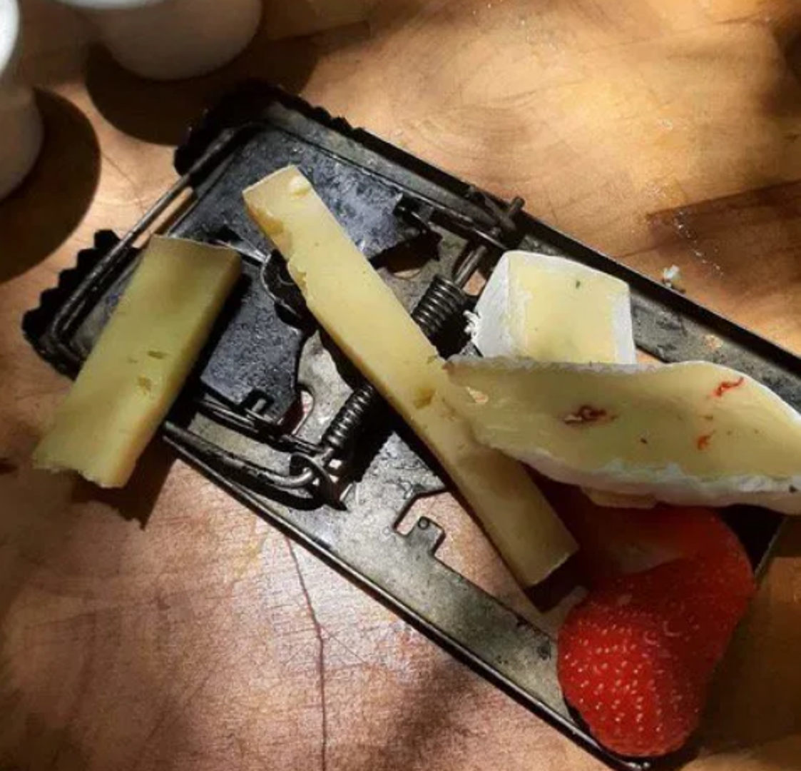 Da, zašto ne biste zamišljati miša u mišolovki dok uživate u ukusnom siru?