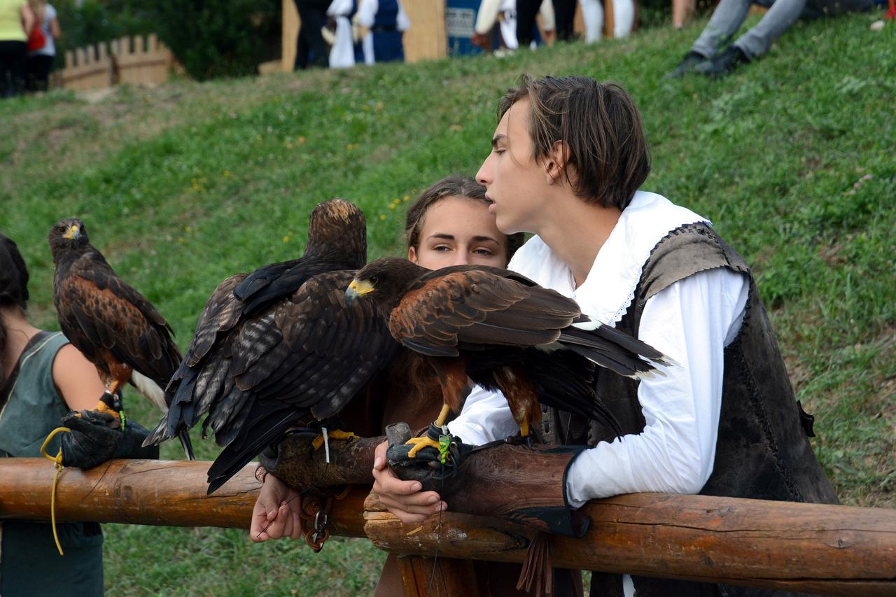 Renesansni festival u Koprivnici