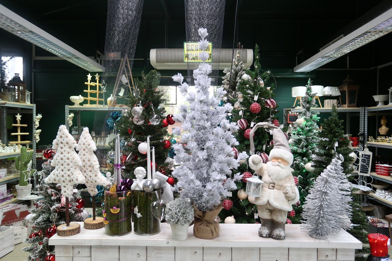 Ponuda božićnih drvaca