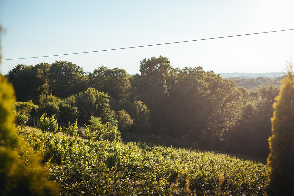 Međimurje s ponosom ponijelo titulu vinske regije s najboljim pjenušcima