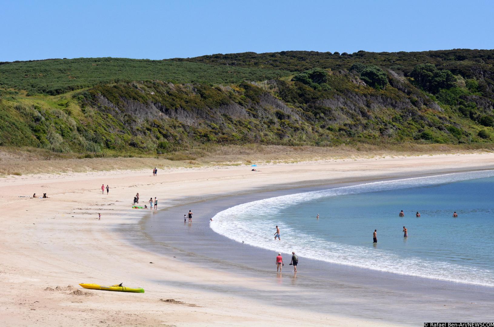 Carinski službenici na Novom Zelandu imaju zakonsku ovlast pretraživati elektroničke uređaje na granici, iako su takve pretrage relativno rijetke. Službene smjernice Carinske službe Novog Zelanda navode da službenici mogu pregledavati telefone, prijenosna računala i druge elektroničke uređaje ako imaju razumnu sumnju na počinjenje kaznenog djela. Od putnika se može zahtijevati da pruže podatke za pristup, poput lozinki, kako bi se pretraga mogla provesti.