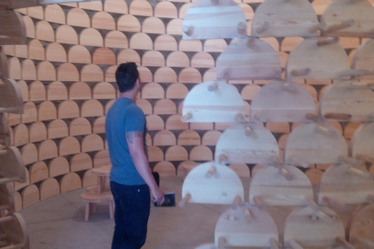 Bijenale arhitekture venecija