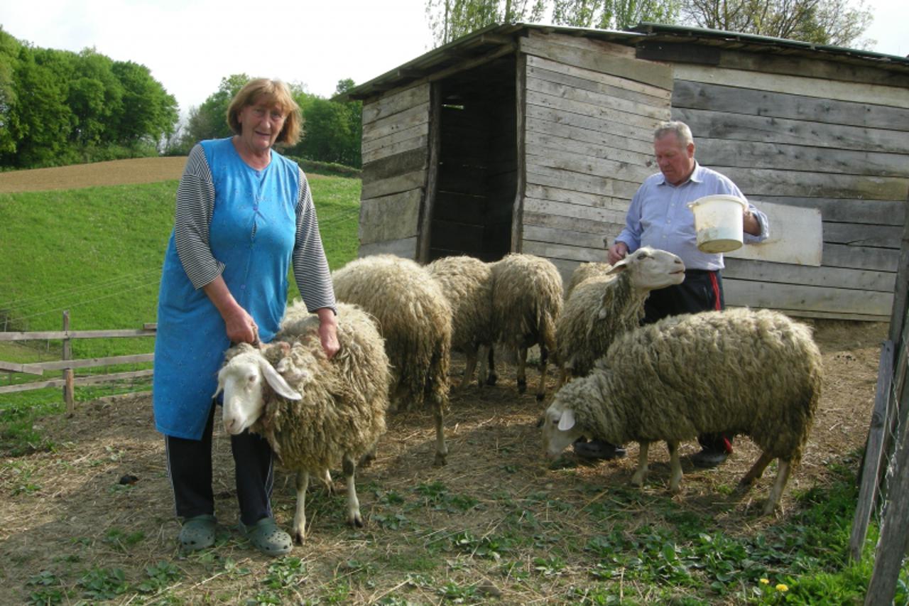 'ovce_mlm_zag_270410'