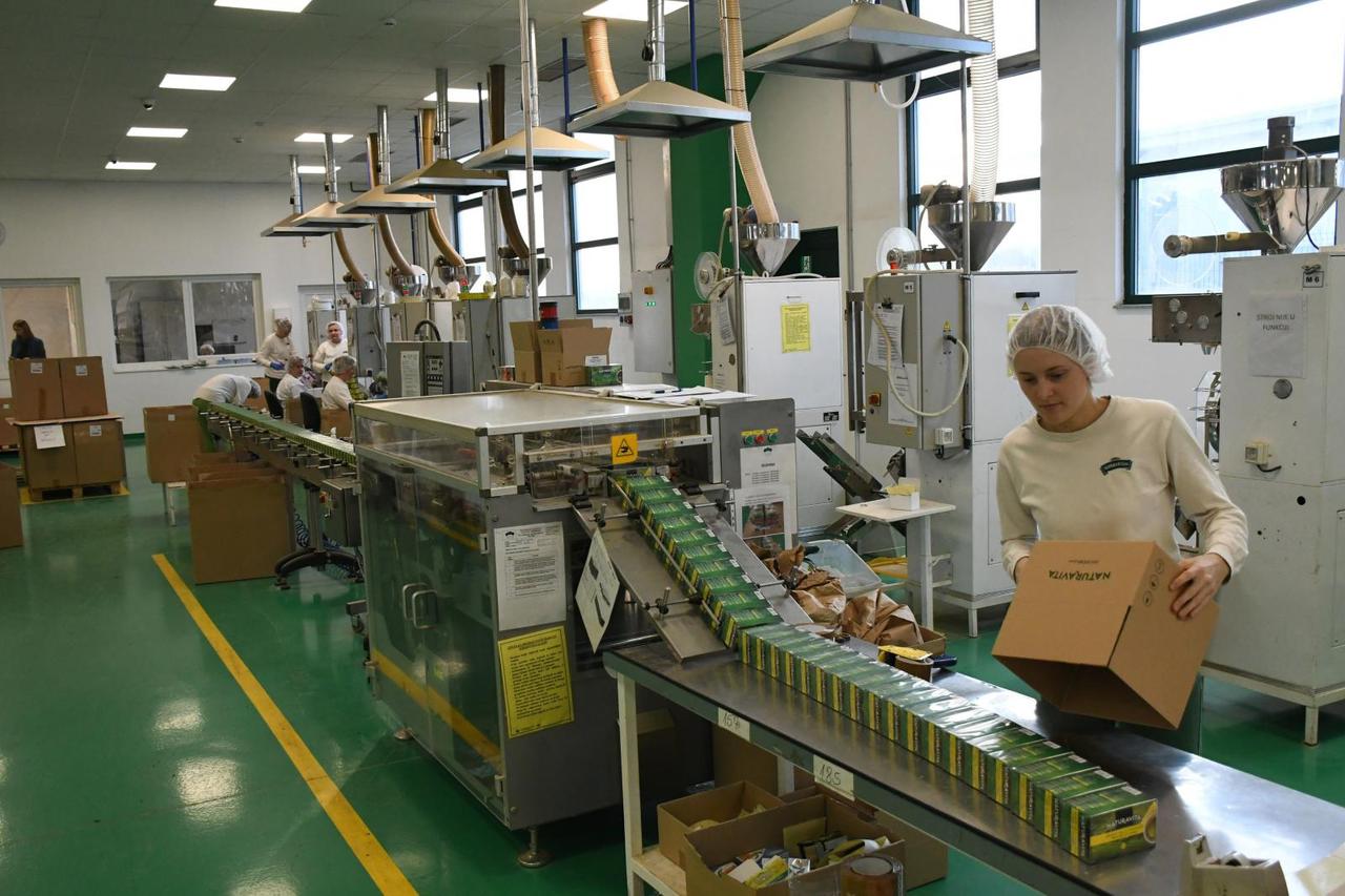 Tvornica Spider grupe u Pitomači