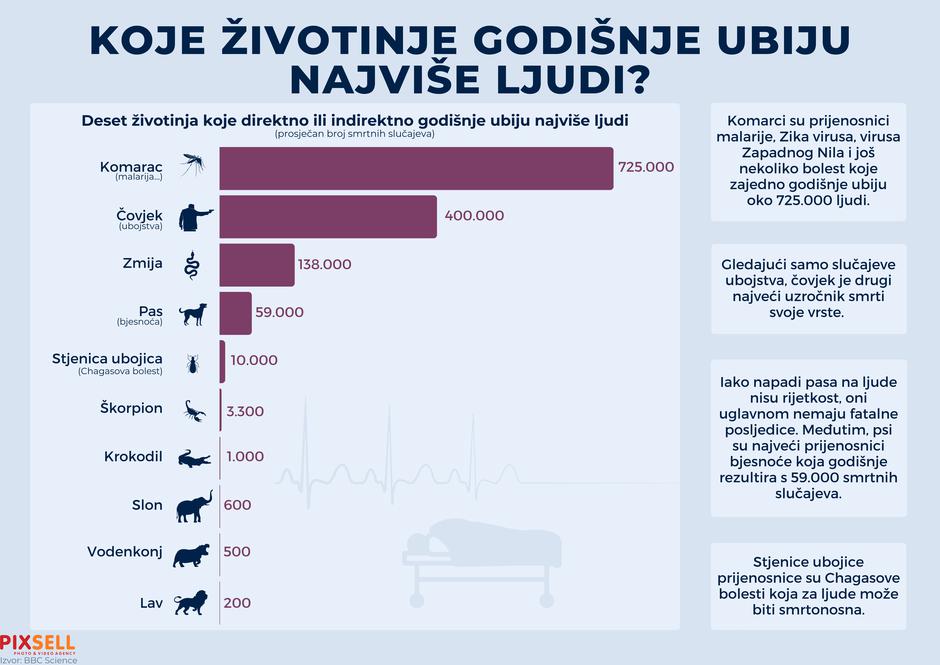 Infografika: Koje životinje godišnje ubiju najviše ljudi?