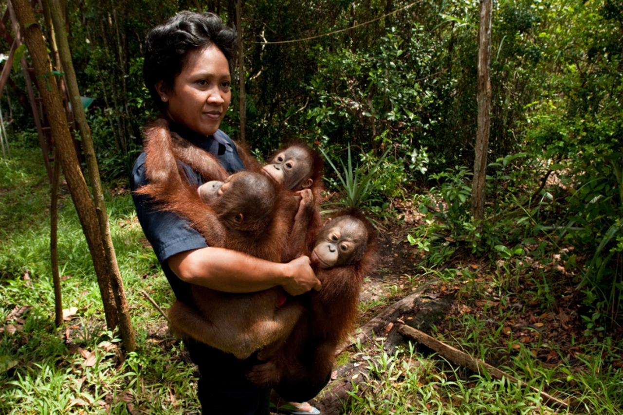 'wild2_nnn_kul_030112'