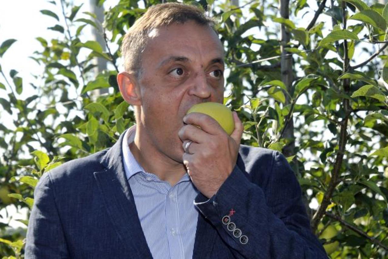 '04.10.2013., Vinkovci - Ministri Zeljko Jovanovic i Tihomir Jakovina posjetili su vocnjake Borinci gdje su s ucenicima nizih razreda osnovnih skola brali i kusali jabuke.  Photo: Goran Ferbezar/PIXSE