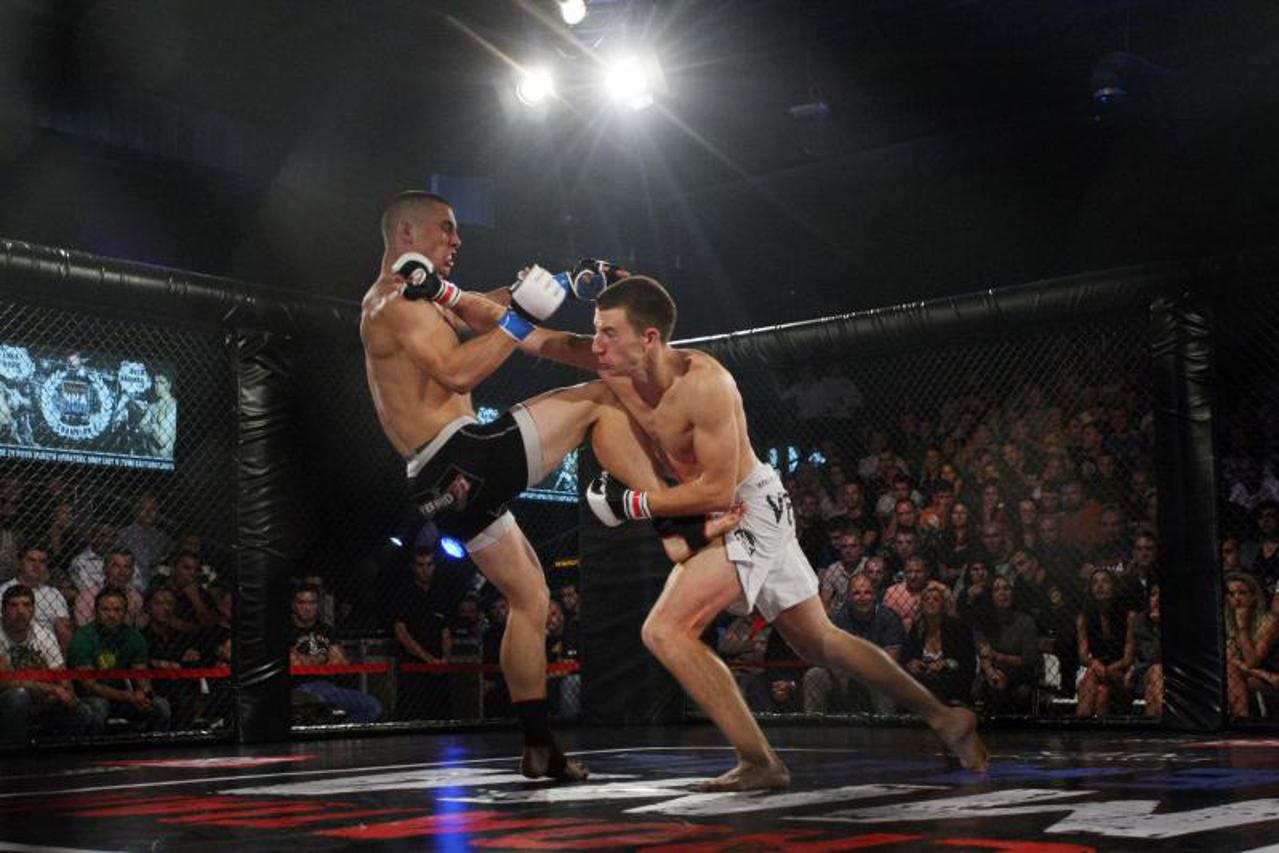 MMA liga