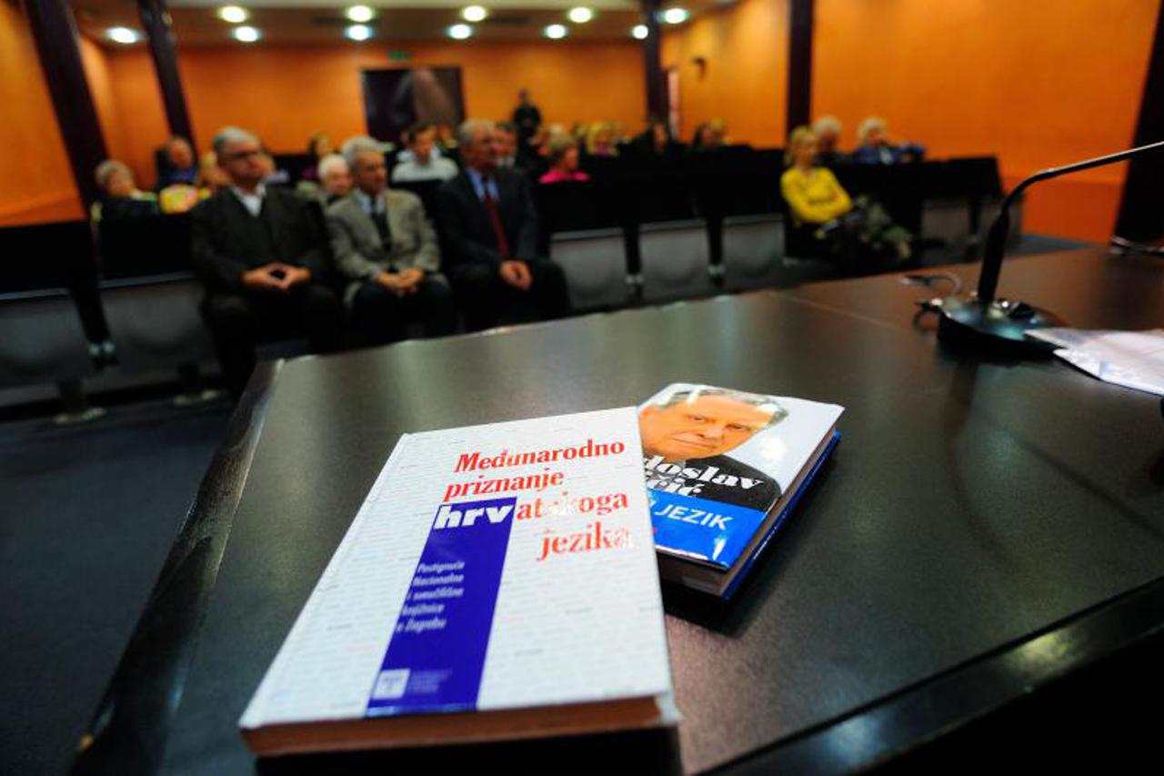 hrvatski jezik