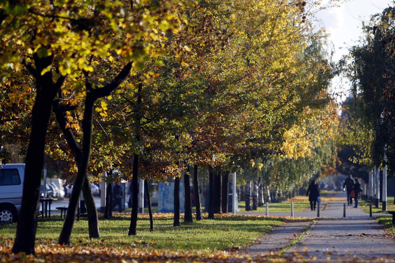 05.11.2009., Zagreb, Hrvatska - Jesen u gradu, zuto lisce pada sa drveca. Photo: Slavko Midzor/PIXSELL