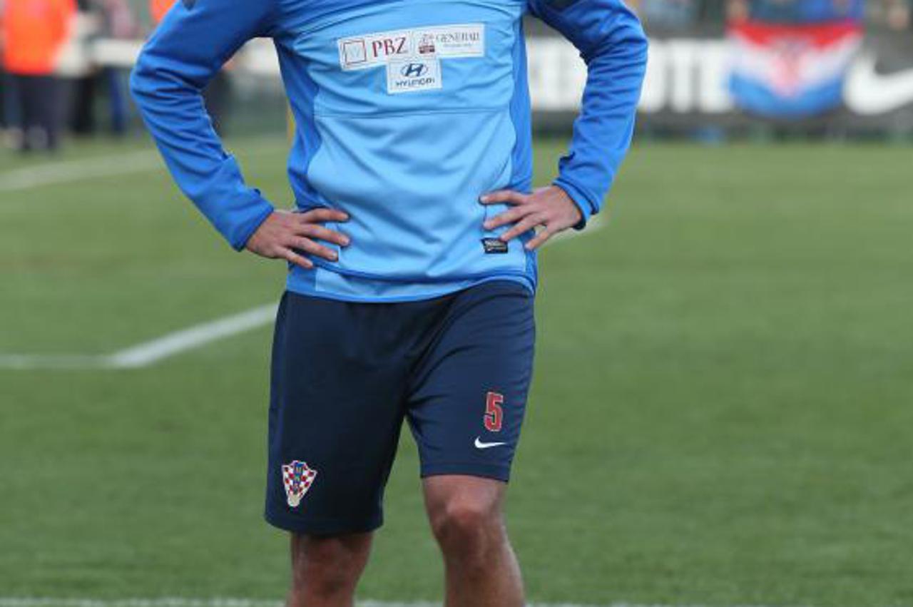Vedran Ćorluka