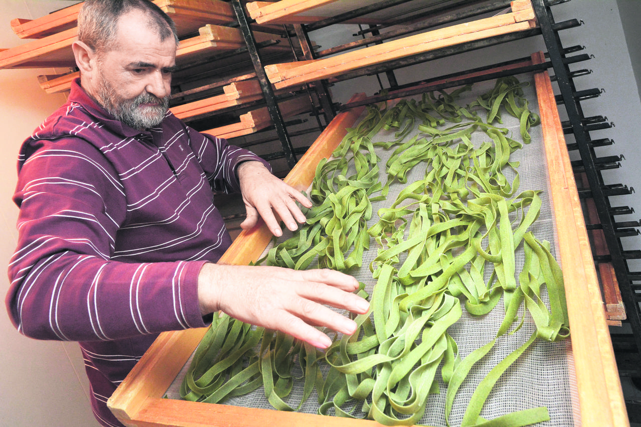 Zdravko Sokić, ekotjestenina