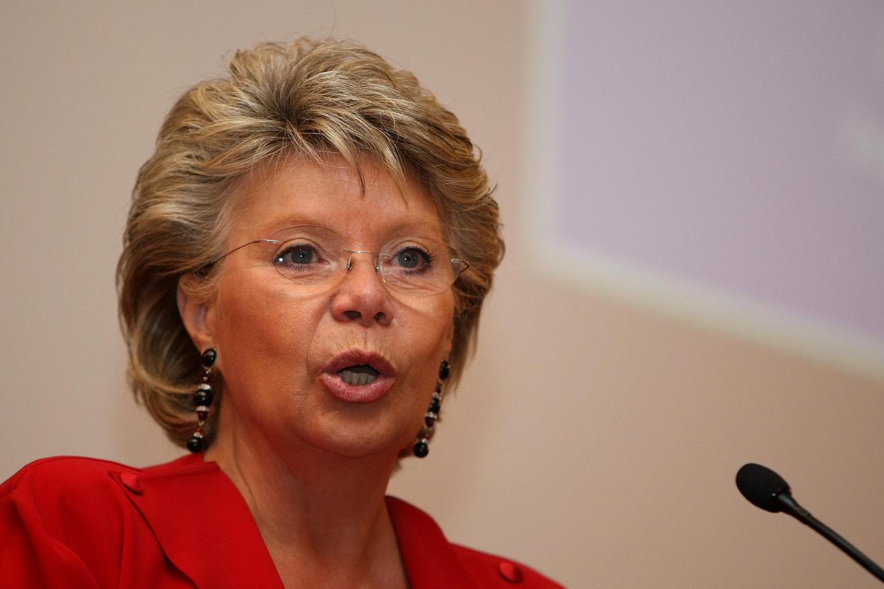 Davor Stier Viviane Reding