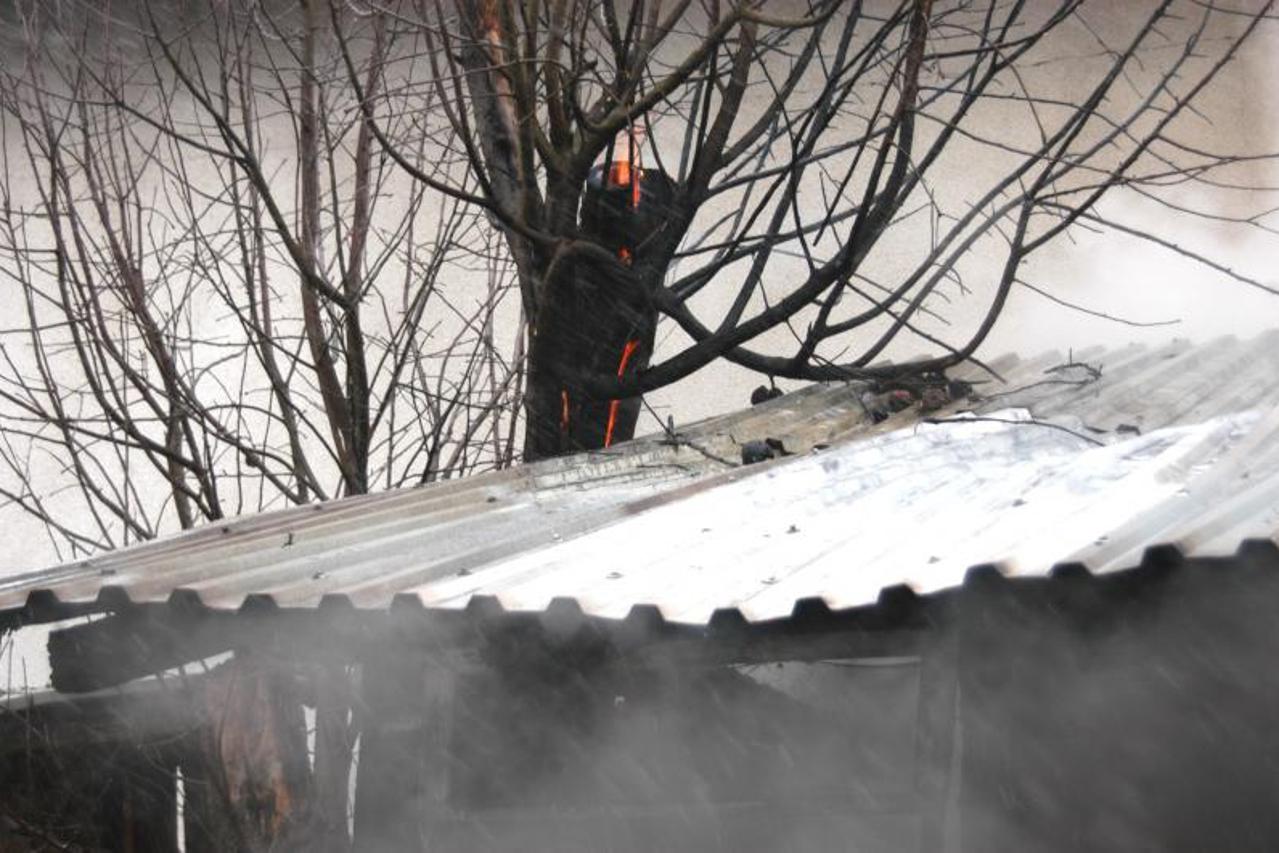 pušnica ilustracija